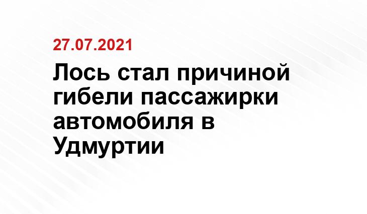 Отдел пропаганды УГИБДД МВД по Удмуртской республике.