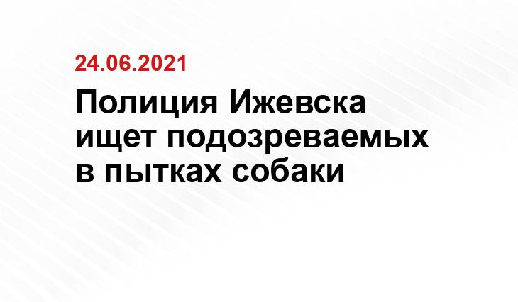 Группа Вконтакте Волшебные псы 