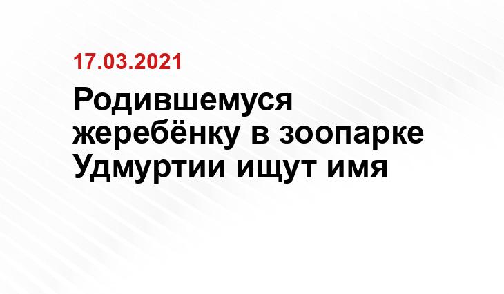 Пресс-служба Зоопарка Удмуртии