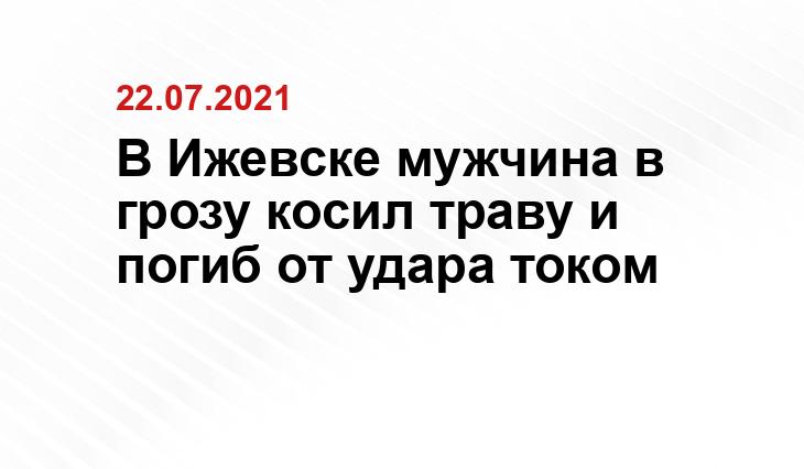 Википедия