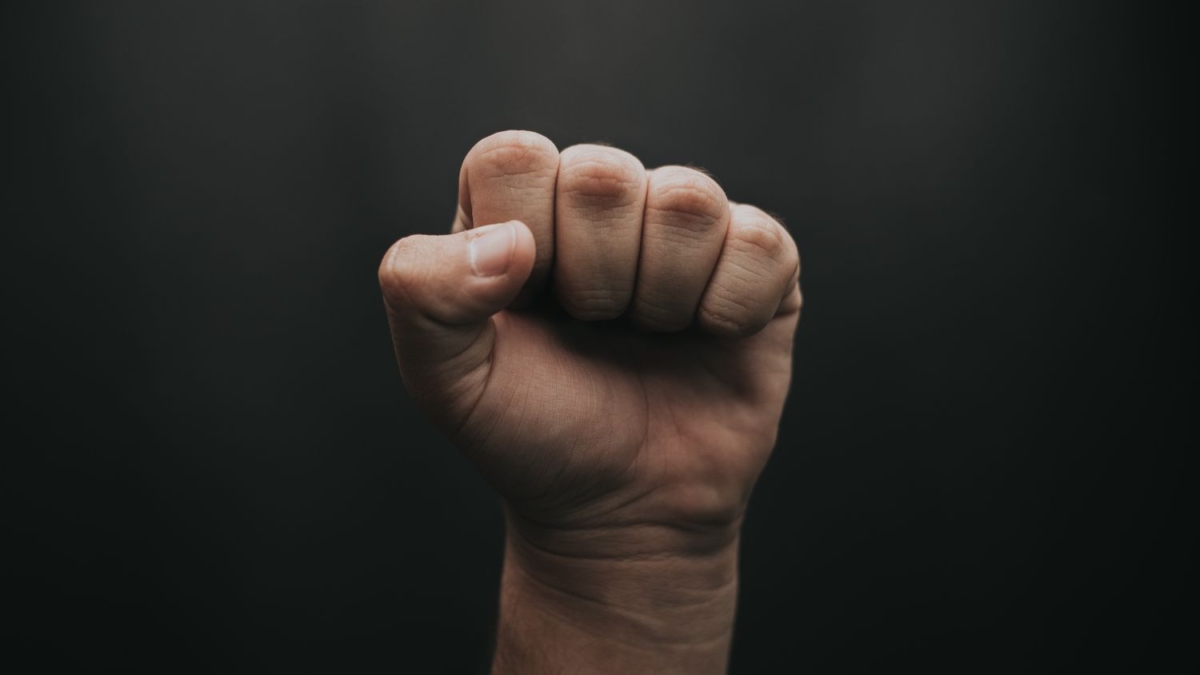 unsplash.com (Luis Quintero)