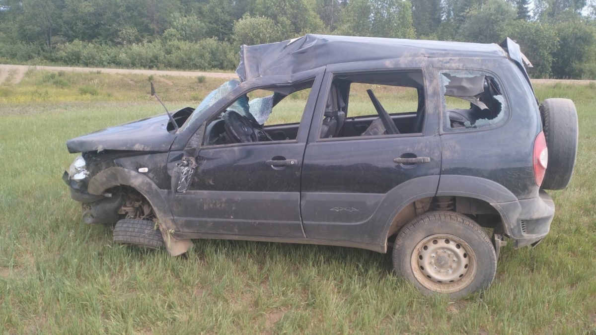 Водитель «Нивы» погиб в ДТП на трассе в Удмуртии Первый отдел Управления ГИБДД МВД по Удмуртии