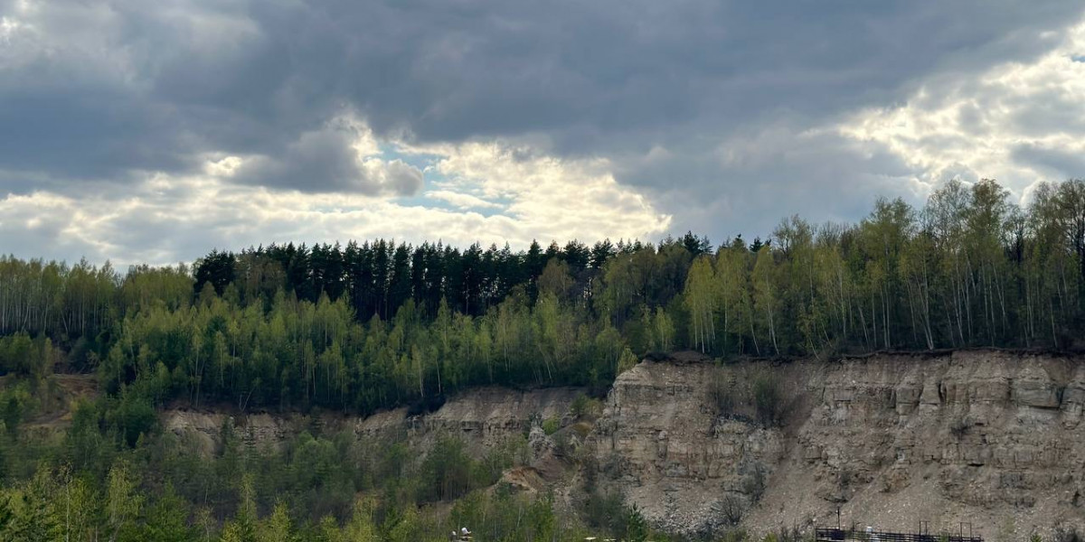 В Удмуртии за организацию незаконной крупномасштабной вырубки задержаны шесть граждан редакции