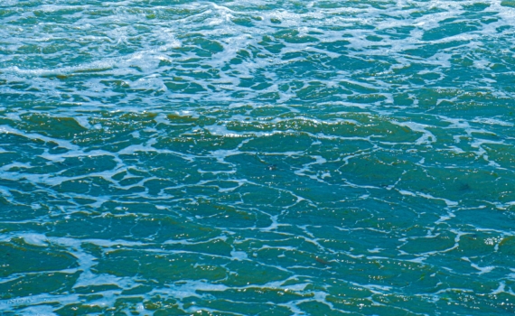 Серфер проигнорировал предупреждение и стал жертвой акулы Серфер проигнорировал предупреждение и стал жертвой акулы