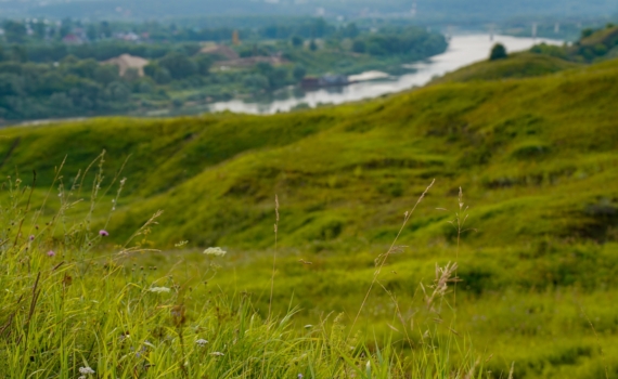 Подопригора: Аркаим был превращен в коммерческий аттракцион за бюджетные деньги Подопригора: Аркаим был превращен в коммерческий аттракцион за бюджетные деньги