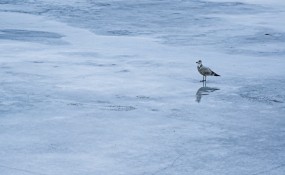 Необходимо создать условия для постоянного проживания в Арктике Необходимо создать условия для постоянного проживания в Арктике