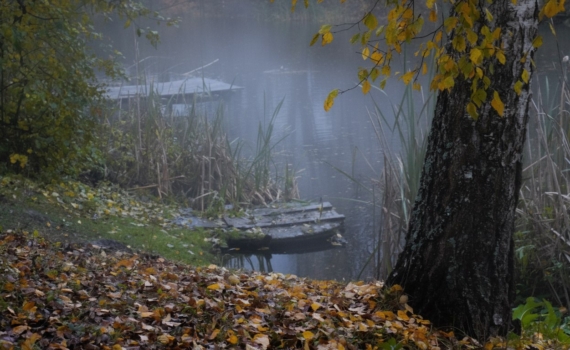 Гороскоп на 1-2 ноября 2025 для 5 знаков: кому внезапная радость, а кому — стоит быть осторожным Гороскоп на 1-2 ноября 2025 для 5 знаков: кому внезапная радость, а кому — стоит быть осторожным