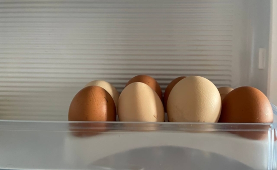 Бабушкин совет для занятых хозяек: что поставить в холодильник, чтобы не мыть его каждую неделю