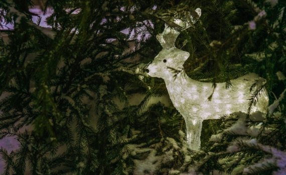 Критическая Луна 7 января 2026: неверный шаг — год под откос. Что можно и нельзя для счастья Критическая Луна 7 января 2026: неверный шаг — год под откос. Что можно и нельзя для счастья