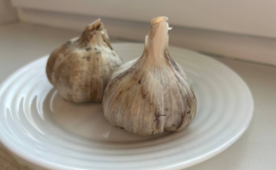Чеснок станет сухим и безвкусным: какие две ошибки совершают дачники после уборки Чеснок станет сухим и безвкусным: какие две ошибки совершают дачники после уборки